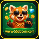 55dd. com